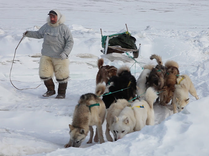 Sila And The Gatekeepers Of The Arctic