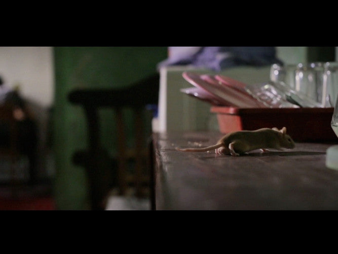 Tikus - Short Film
